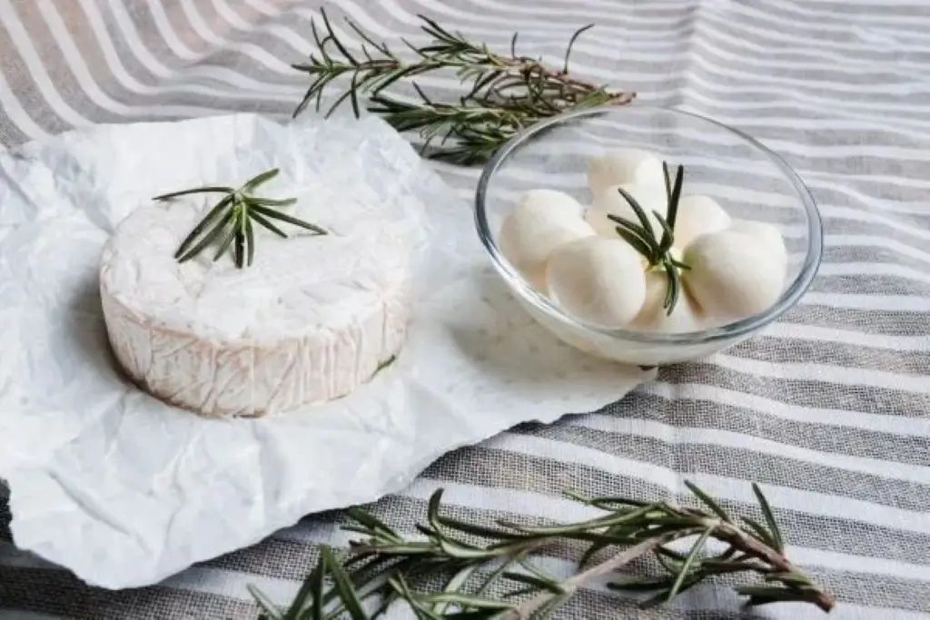 ricotta cheese nutritional benefits