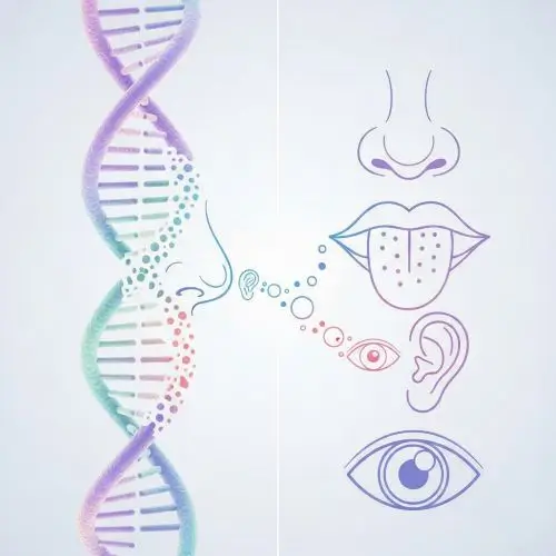 DNA and sensory icons visualizing genetics and psychology of picky eaters in adults and toddlers causing extreme picky eating.